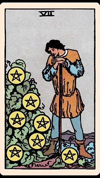Seven of Pentacles (Upright) | Tarot Card of the Day
