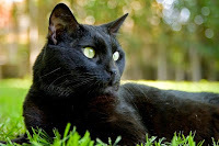 Panzer says, It really is a nice park.