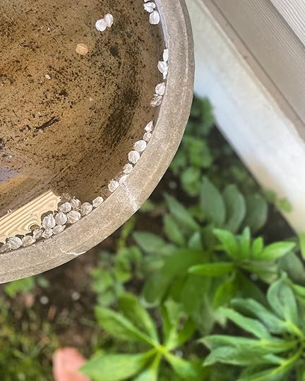 thesimplyluxuriouslife.com | The Simply Luxurious Life