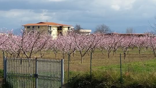 miglior GPL in Giugliano in Campania, Campania