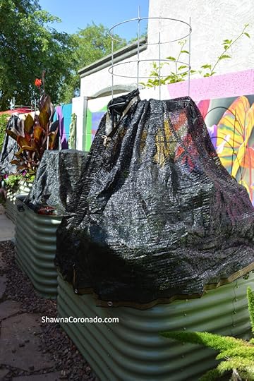 Raised Bed Garden with Shade Cloth on Cage