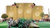 tarot card reading