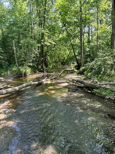 Cedar Creek at Bicentennial Woods