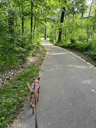 Sunny on the Pufferbelly Trail