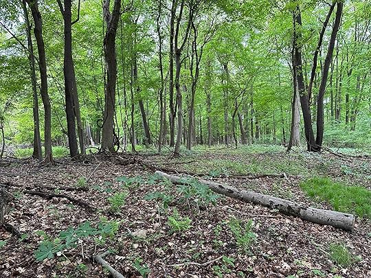 West Lake Nature Preserve Portage MI