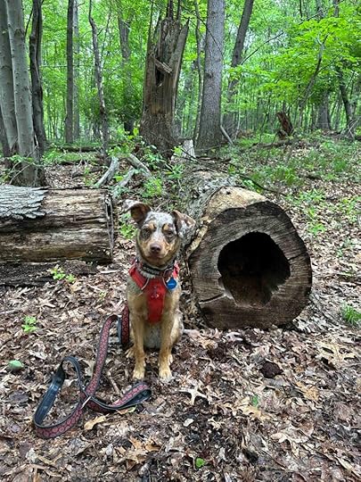 Sunny at Schrier Park Portage MI