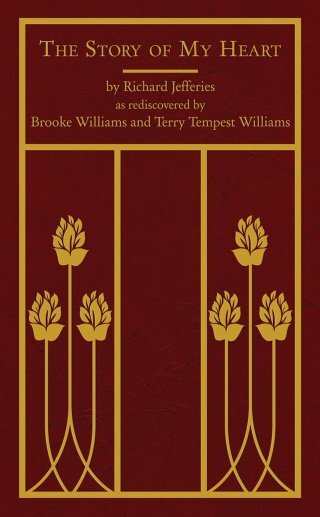 The Ecstasy of Eternity: Richard Jefferies on Time and Self-Transcendence