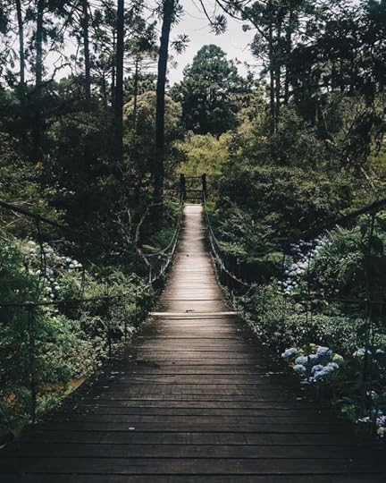 Black Hanging Bridge Surrounded by Green Forest Trees by Kaique Rocha