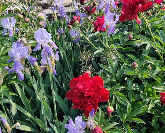 IMG_20230610_165036-01