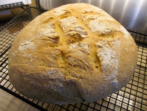 Bready or Not: Country Loaf