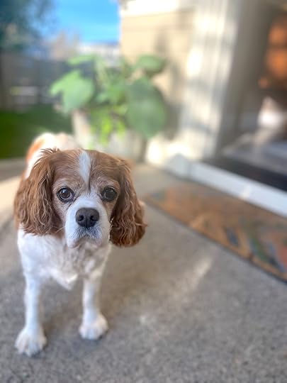 thesimplyluxuriouslife.com