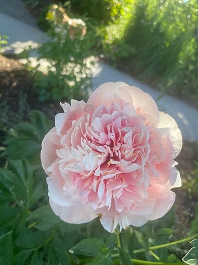 thesimplyluxuriouslife.com | The Simply Luxurious Life