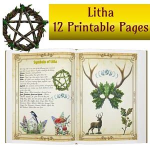 Summer Solstice Party Foods and Snacks, ten unique and impactful rituals you can use during Litha