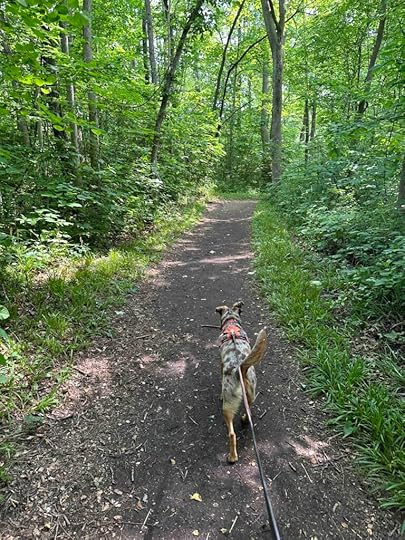 Chain O'Lakes State Park hiking trail