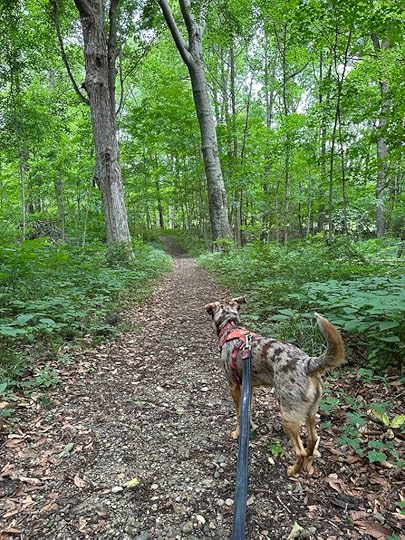 Kokiwanee Naturę Preserve