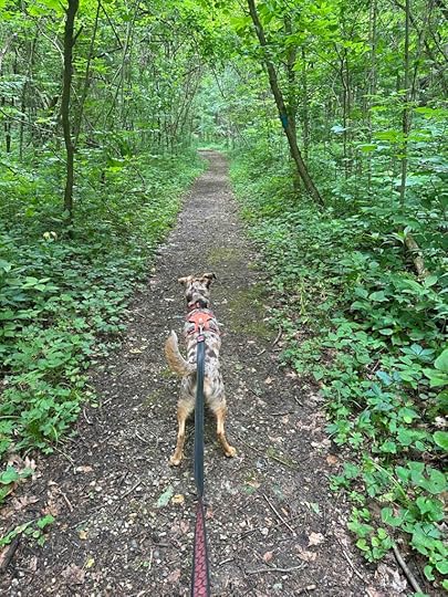 Kokiwanee Naturę Preserve