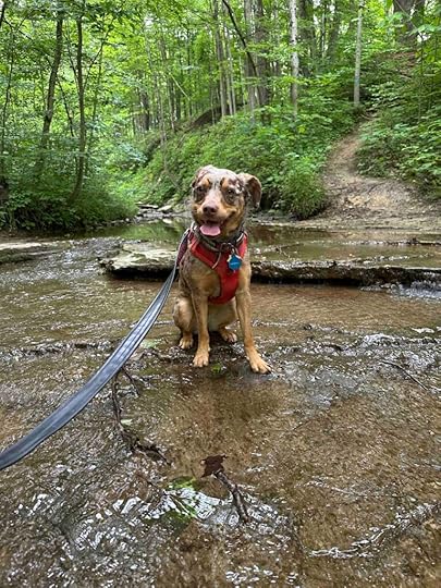 Kokiwanee Naturę Preserve