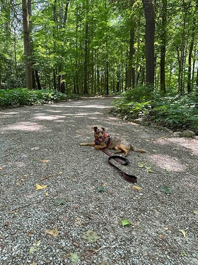 Gene Stratton-Porter trail