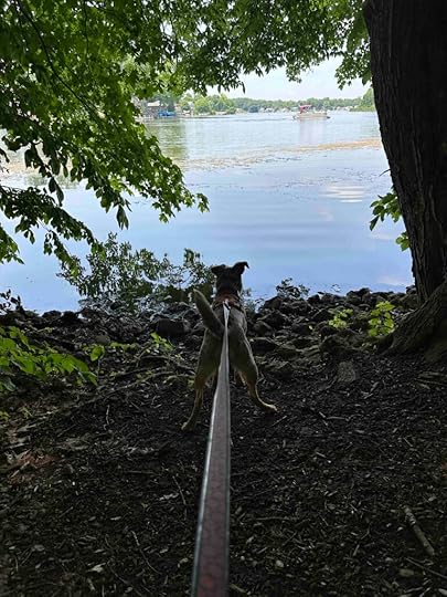 Sylvan Lake at Gene Stratton-Porter historic site