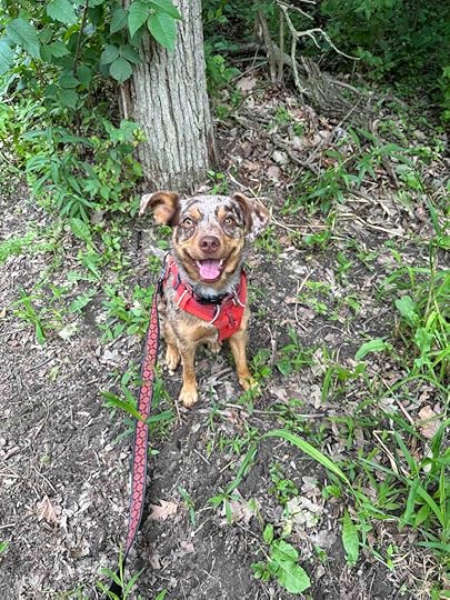 Sunny on the Pufferbelly Trail