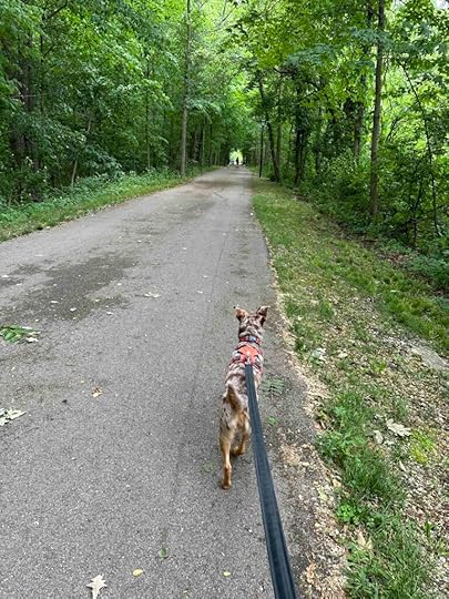Sunny on the Pufferbelly Trail