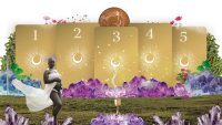 tarot reading