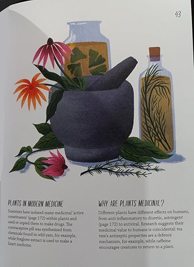 Illustration of Bottles and Mortar and Pestle