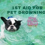 pet drown