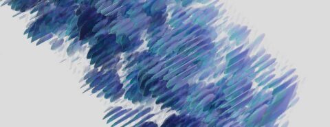 Real patterns and the structure of language by Ryan M. Nefdt, author of 