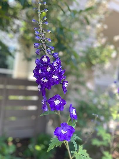 thesimplyluxuriouslife.com | The Simply Luxurious Life