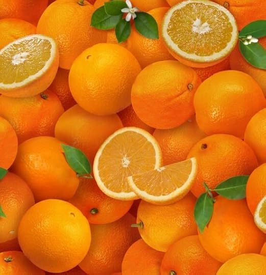 Farmers Market Fabrics & Mesh Tote at Nancy Zieman Productions at ShopNZP.com