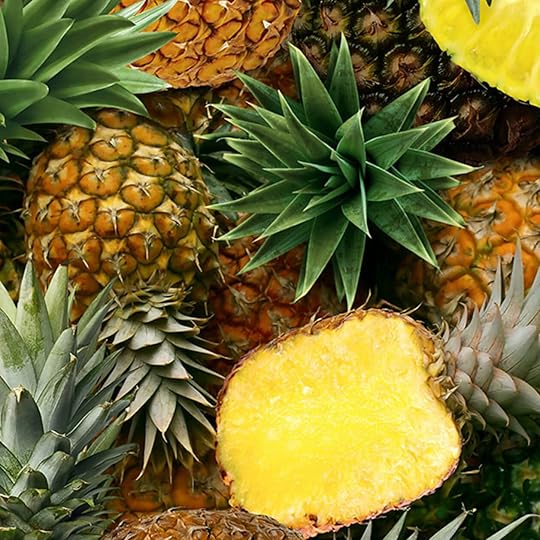 Farmers Market Fabrics & Mesh Tote at Nancy Zieman Productions at ShopNZP.com