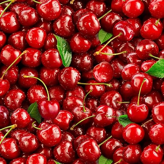 Farmers Market Fabrics & Mesh Tote at Nancy Zieman Productions at ShopNZP.com