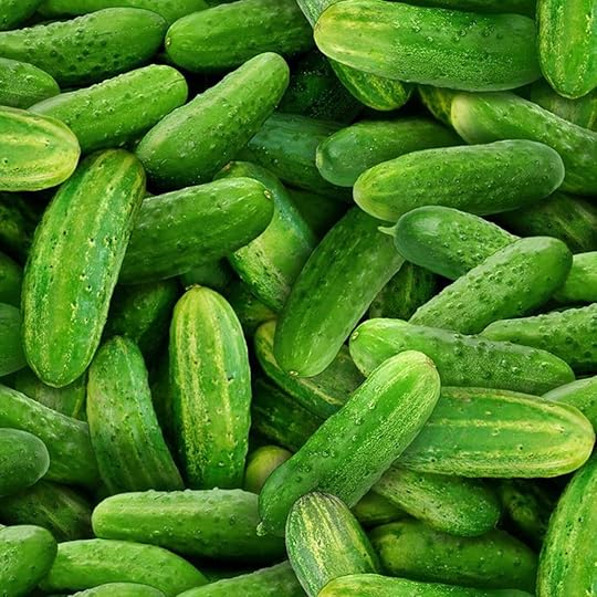 Farmers Market Fabrics & Mesh Tote at Nancy Zieman Productions at ShopNZP.com