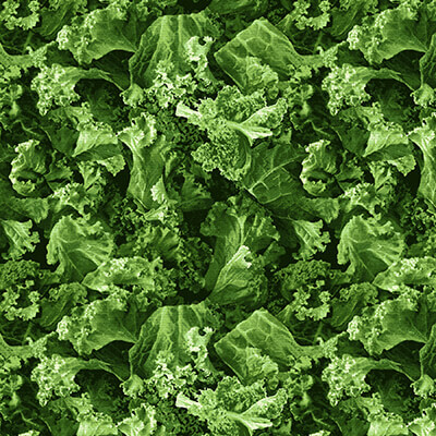 Farmers Market Fabrics & Mesh Tote at Nancy Zieman Productions at ShopNZP.com