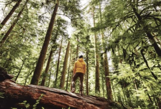 man-hiking-in-a-forest