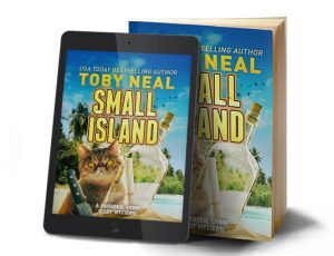 ebook cover small island