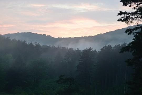 catskills-new-york-in-fog