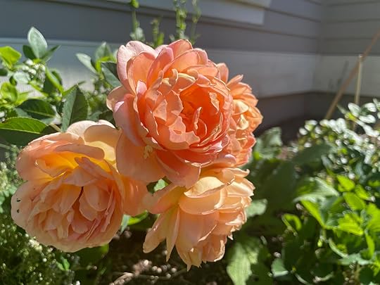 thesimplyluxuriouslife.com | The Simply Luxurious Life