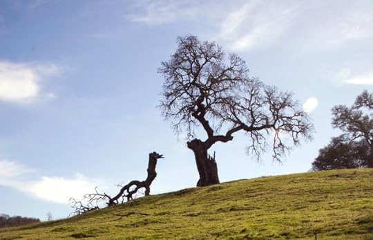 Change is inevitable, and impermanence is reality.