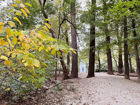Teddy Roosevelt Island