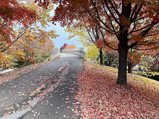 the Mount Vernon Trail is a fall dream