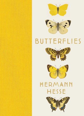 How to Be More Alive: Hermann Hesse on Wonder and the Proper Aim of Education