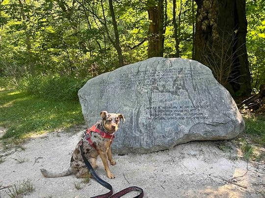 Hathaway Preserve at Ross Run