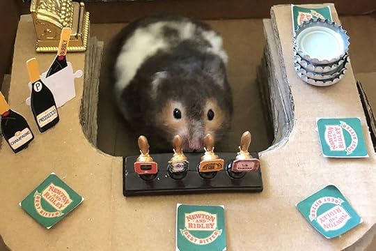 Spud at cardboard bar