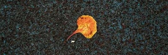 Recensione di Due settimane di settembre di R.C. Sherriff