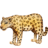 🐆