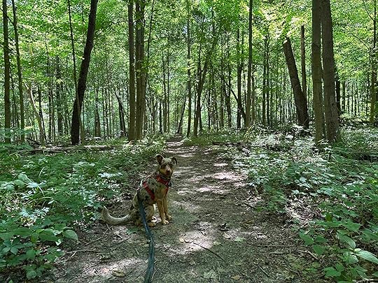 Edna W. Spurgeon Woodland Reserve