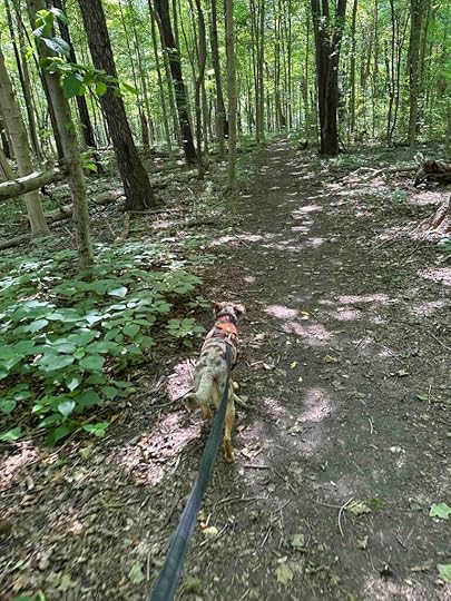 Edna W. Spurgeon Woodland Reserve