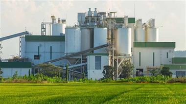 stupidity of ethanol as green energy
